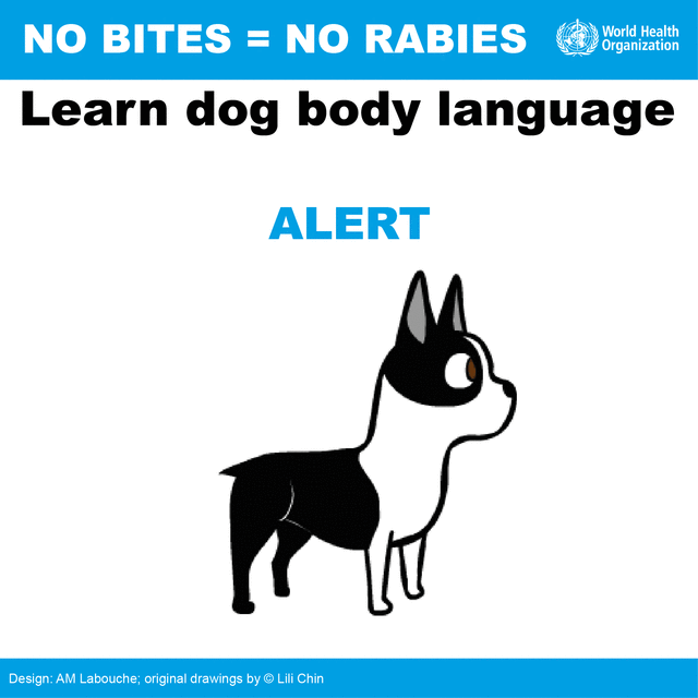 No bites = No rabies